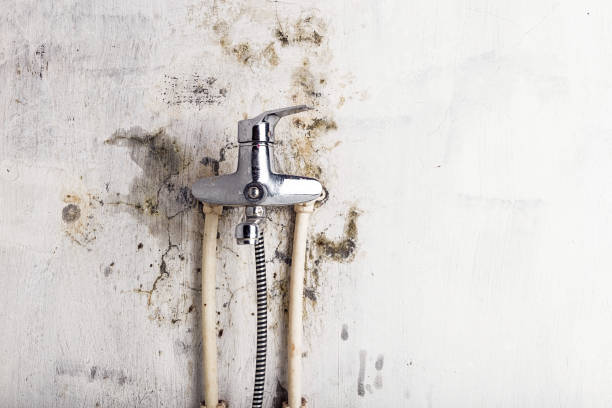 Best Mold Testing  in Devens, MA