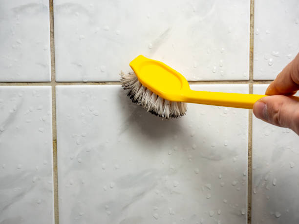 Best Residential Mold Removal  in Devens, MA