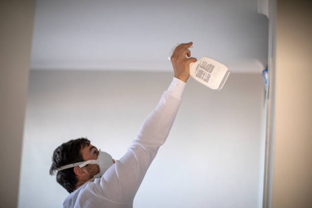 Best Certified Mold Removal  in Devens, MA