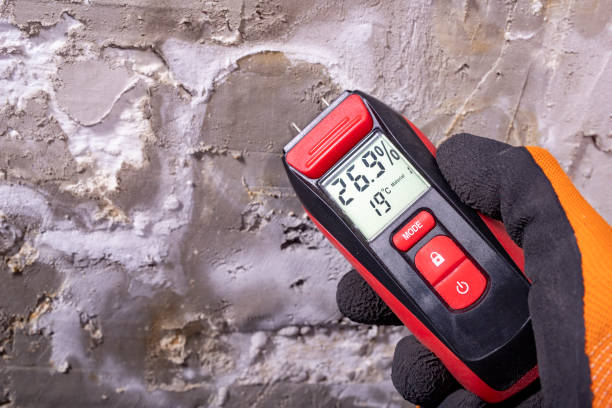 Best Toxic Mold Removal  in Devens, MA