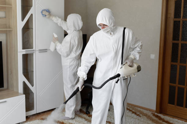 Best Attic Mold Removal  in Devens, MA