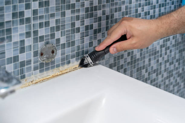 Best Black Mold Removal  in Devens, MA
