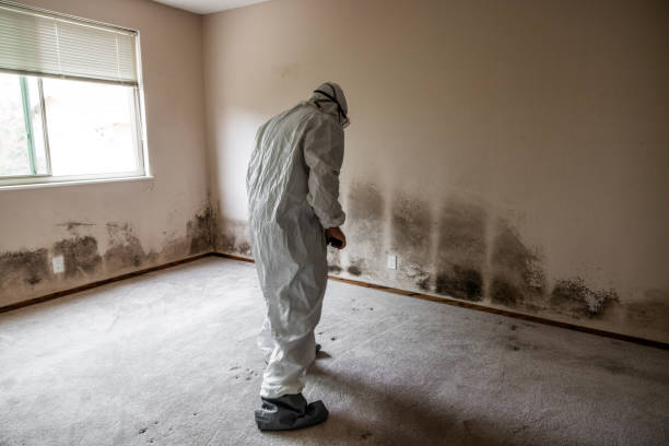 Best Mold Testing  in Devens, MA